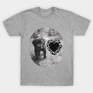 Cute Dog T-Shirt